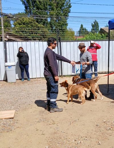Prevención y Manejo de Ataques Caninos en Contextos Laborales