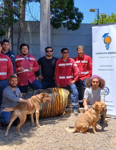 Prevención y Manejo de Ataques Caninos en Contextos Laborales